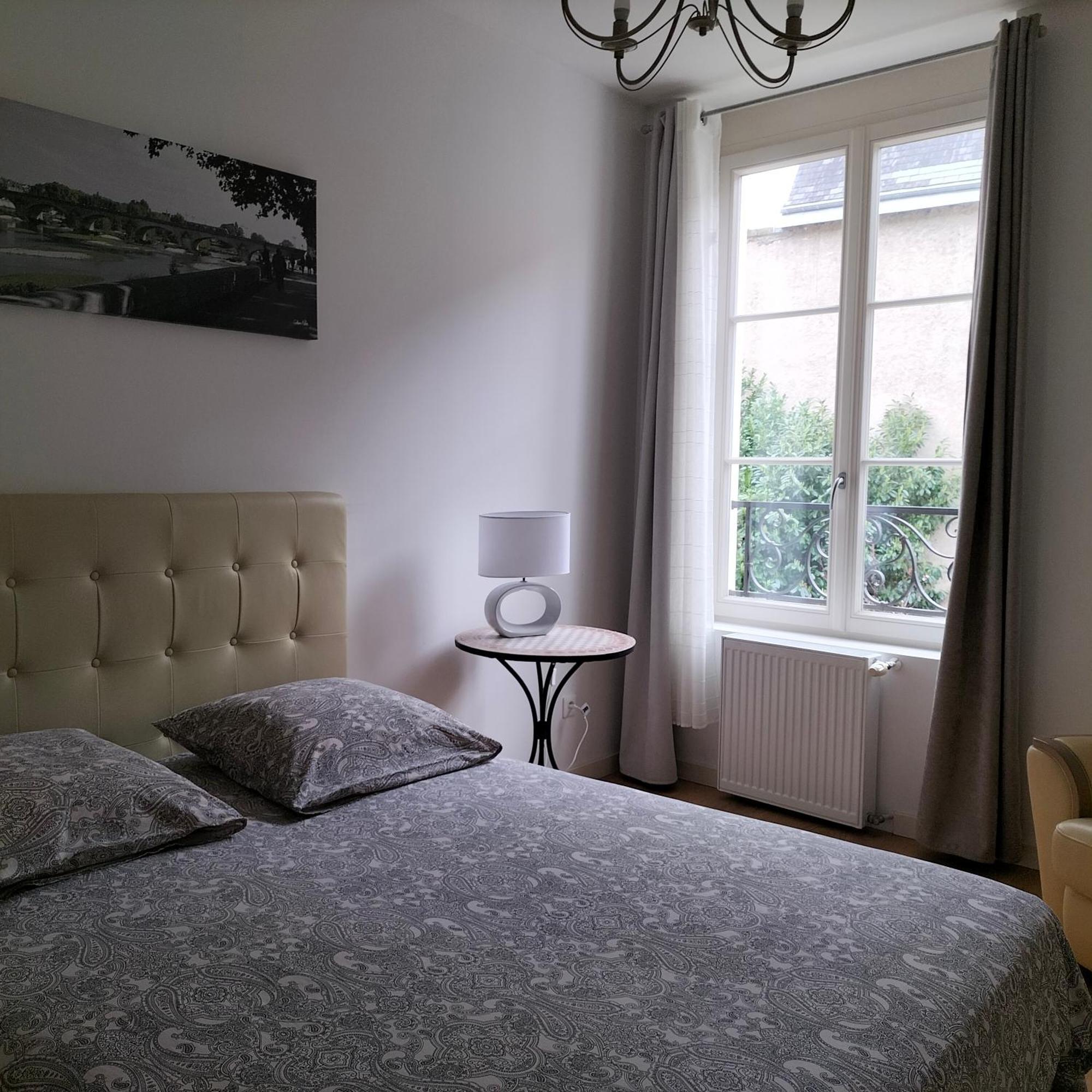 Appartement Salamandre ออร์เลออง ภายนอก รูปภาพ